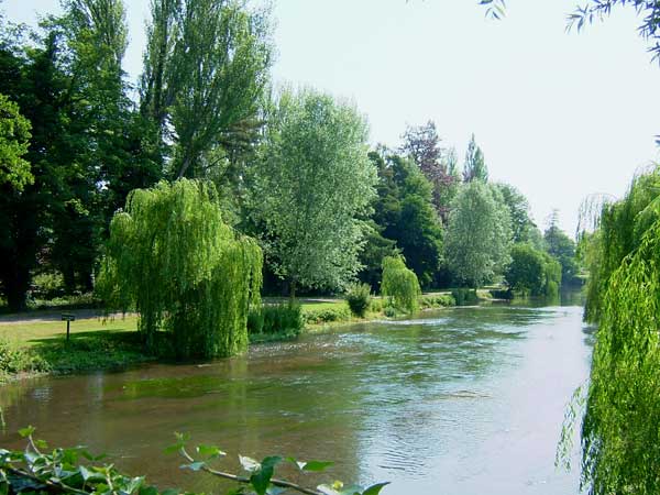 The river Kennet looking downstream from the road bridge. The Craven Fishery branches off to the right.